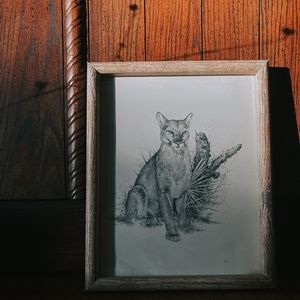 Mountain lion drawing